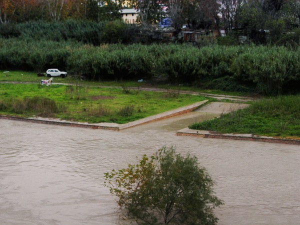 .::Tevere in pieno::.