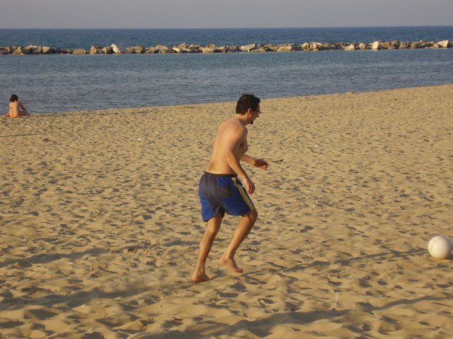 una gazzella al mare:rofl: