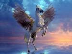 Pegasus