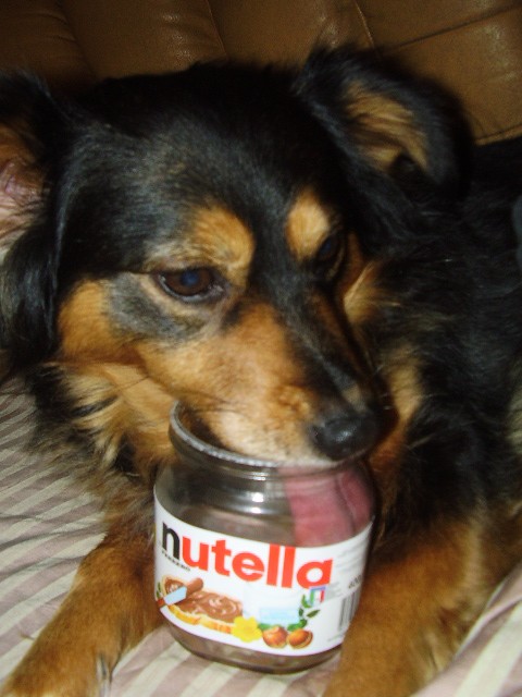 :slurp: le piace la nutella:asd: