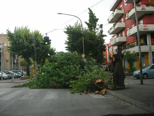 s.pietro, 11 agosto (samu)